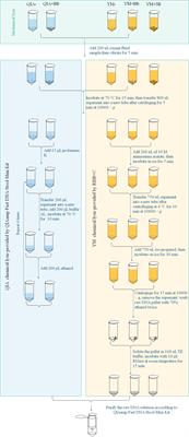 Effects of Chemical and Mechanical Lysis on Microbial DNA Yield, Integrity, and Downstream Amplicon Sequencing of Rumen Bacteria and Protozoa